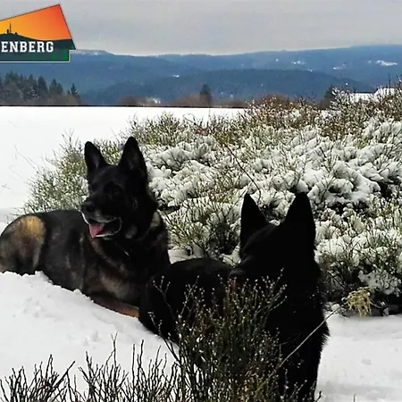 Schulenberg-apartment 2,3