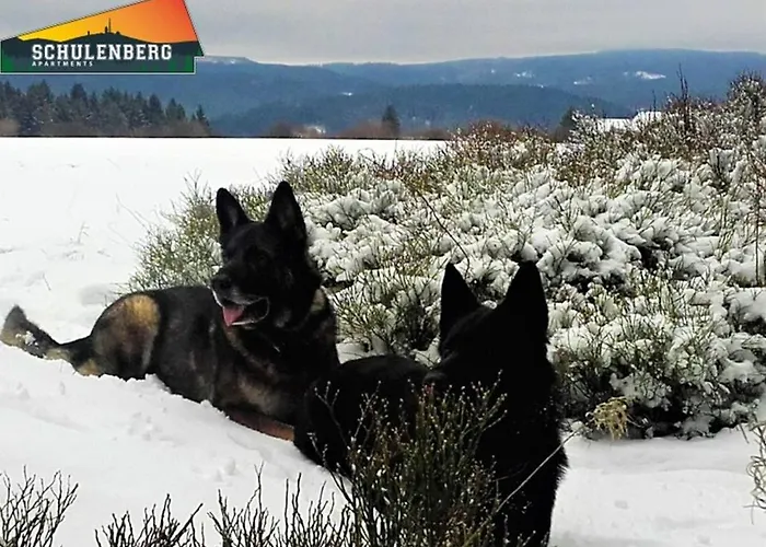 Schulenberg-apartment 2,3